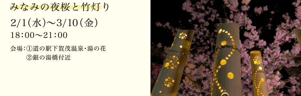 みなみの夜桜と竹灯り